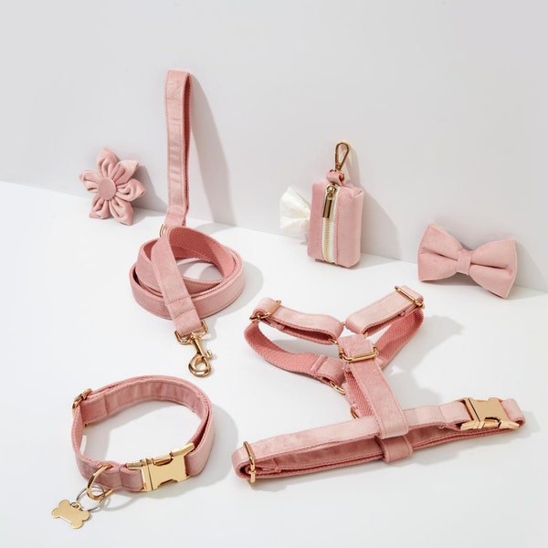 Harnais personnalisé en velours rose bébé avec finitions dorées, harnais fantaisie velours collier et laisse pour chien pour grand et petit chiot, livraison gratuite