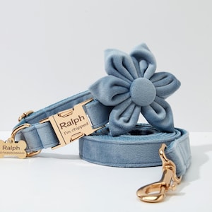 May include: A light blue velvet dog collar and lead set with a gold buckle and a matching flower charm. The collar has a gold tag that reads "Ralph I'm chipped" and a bone-shaped tag with the name "Ralph" and a number.