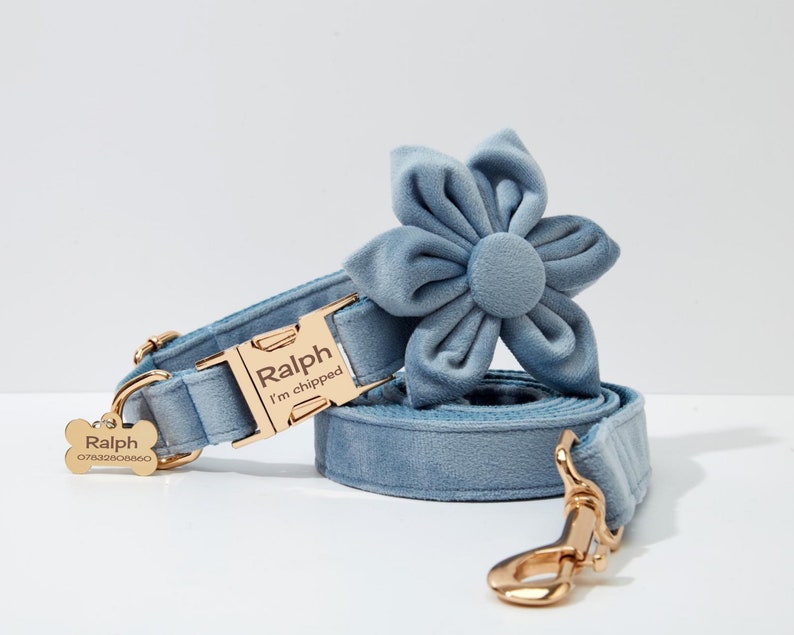 May include: A light blue velvet dog collar and lead set with a gold buckle and a matching flower charm. The collar has a gold tag that reads "Ralph I'm chipped" and a bone-shaped tag with the name "Ralph" and a number.