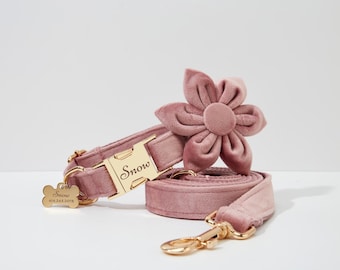 Dusty Pink Velvet Dog Collar Flower, Durable Thick Velvet and Metal Buckle, Dog Birthday Gift, Custom Wedding Collar and Leash UK