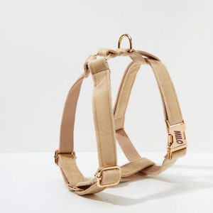 May include: A beige dog harness with gold hardware and the word "Milo" engraved on the buckle.