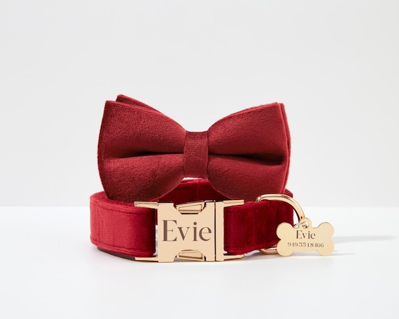 Burgundy Thick Velvet Collar for Wedding, Puppy Collar Lead Bowtie Set For Small Dog,Custom Name Engraved Gold Hardware,Free Shipping