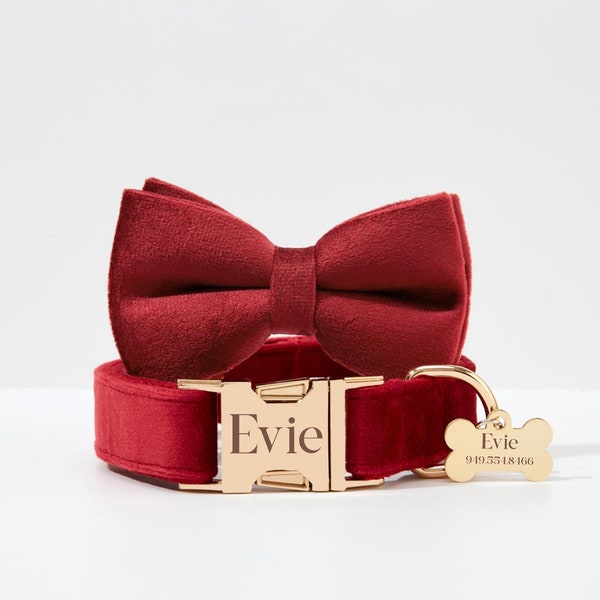 Burgundy Thick Velvet Collar for Wedding, Puppy Collar Lead Bowtie Set For Small Dog,Custom Name Engraved Gold Hardware,Free Shipping