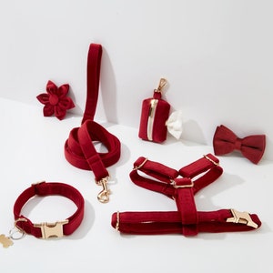 May include: A set of red velvet dog accessories, including a collar, leash, harness, bow tie, and a poop bag holder. The accessories are all trimmed with gold hardware.