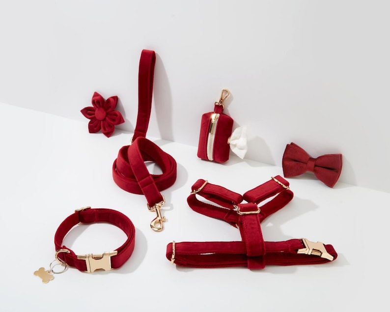May include: A set of red velvet dog accessories, including a collar, leash, harness, bow tie, and a poop bag holder. The accessories are all trimmed with gold hardware.