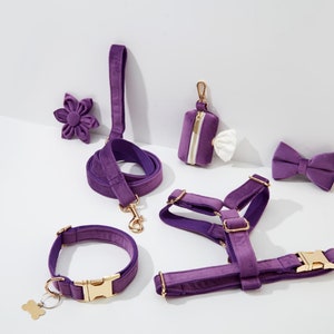 Purple Velvet Personalized Harness With Gold Hardware,Fancy Velvet Harness Dog Collar and Leash Set for Large Small Puppy, Free Shipping