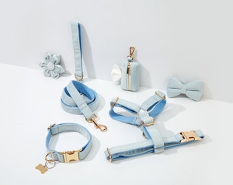 Harnais personnalisé en velours bleu avec finitions dorées, ensemble harnais pour chien et laisse pour grands et petits chiots, livraison gratuite
