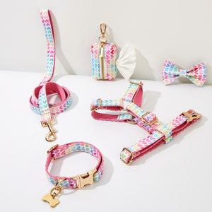 Adjustable Dog Harness No Pull Dog Harness Pet Vest, Cute Personalised Puppy Dog Harness Leash Collar Set, Small Puppy Large Dog Harness