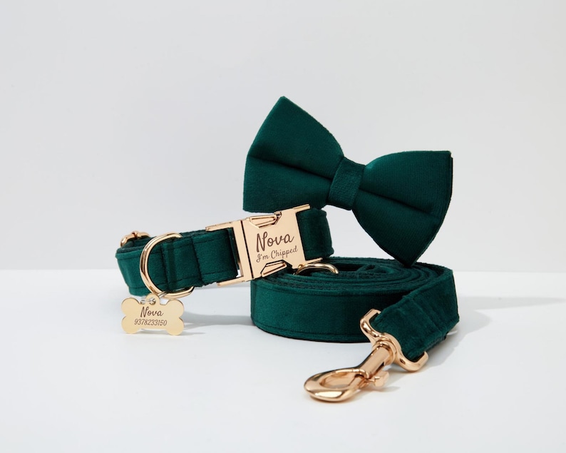 May include: A green velvet dog collar and leash set with a gold buckle and a matching bow tie. The collar has a gold tag that reads "Nova I'm Chipped" and a bone-shaped tag with the name "Nova" and a phone number.