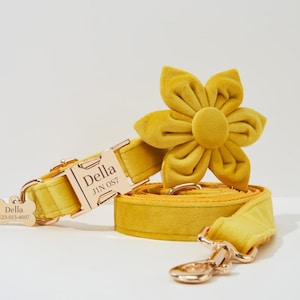 Personalized Bow tie Dog Collar and Leash Set, Luxury Yellow Velvet Collar, Custom Puppy Name Engraved Collar on Metal Buckle