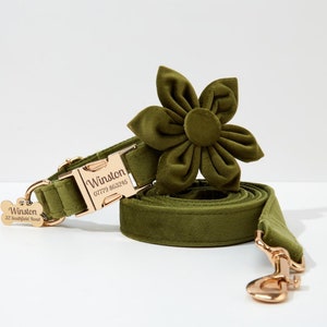 May include: A green velvet dog collar and leash set with a gold buckle and matching flower charm. The collar has the name "Winston" and phone number "07779 868296" engraved on the buckle. The leash has a gold hook.
