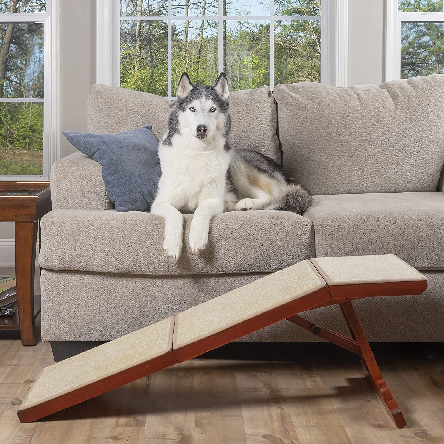 Modern Dog Ramp for Sofa Durable Wooden Pet Ramp Great Couch Etsy
