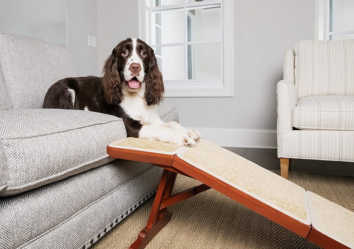Modern Dog Ramp for Sofa Durable Wooden Pet Ramp Great Couch Etsy