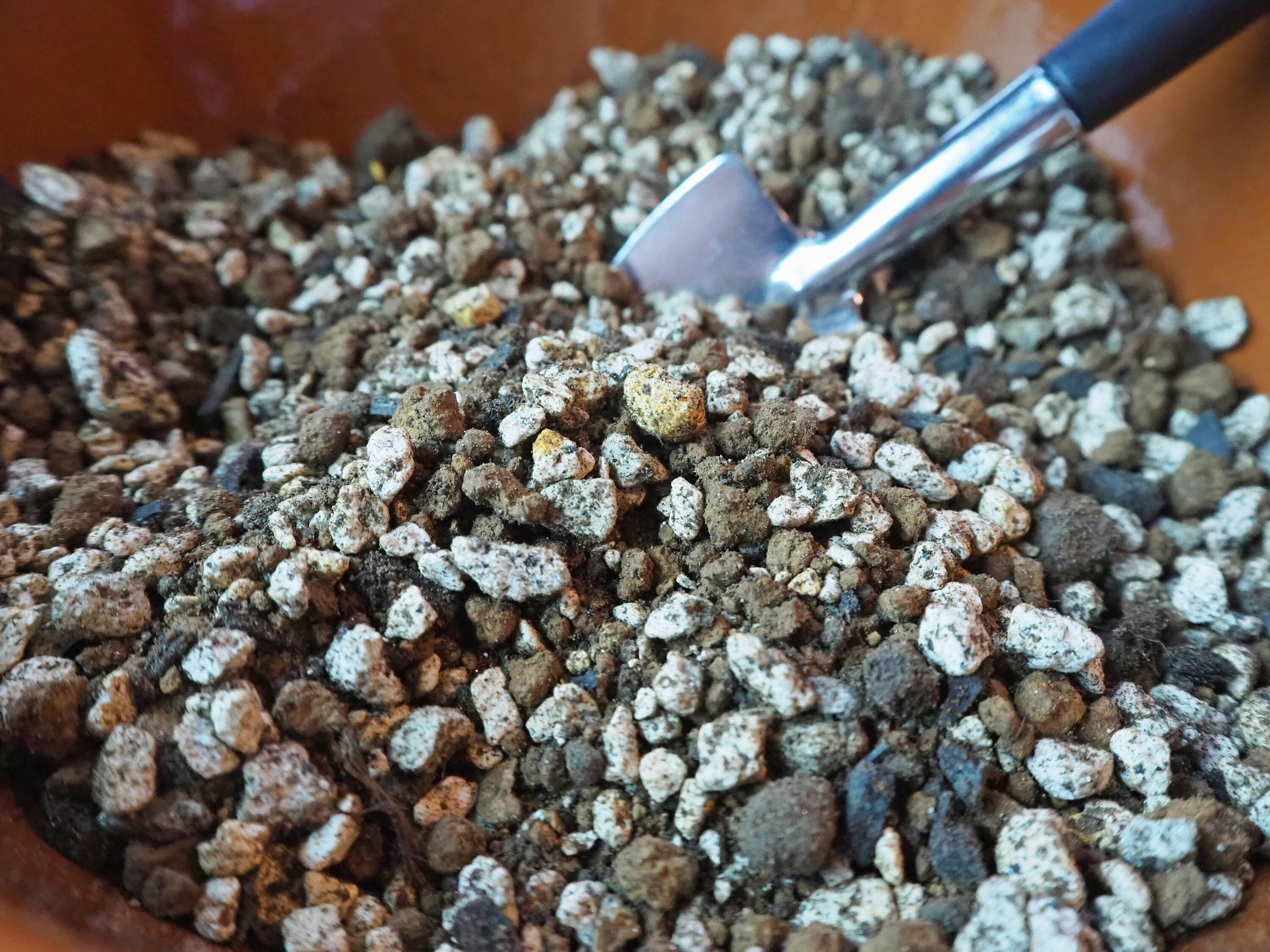 Specialist Succulent Soil Mix Etsy