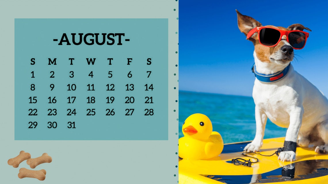 Funny Dog 2021 Personal Calendar 365 Days with my faithful Etsy