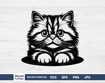Peeking Persian Cat Svg Design Cut File, Feline Png, T-Shirt Design, Vinyl Transfer (Digital Download)