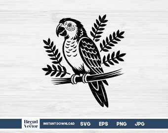 Parrot Bird SVG Design Cut File for T-shirt, Vinyl Transfer, Sticker Decal (Digital Download)