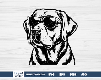 Labrador Dog With Sunglasses on SVG: Design Cut File, Cricut, Silhouette, T-shirt, vinyl transfer, sticker decal (Digital Download)