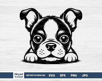 American Bully Puppy Peeking SVG, Design Cut File, Cricut, T-Shirt, Vinyl Transfer, Sticker Decal (Digital Download)