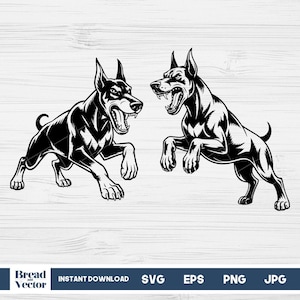 May include: Black and white illustration of two Doberman Pinschers in aggressive poses. The dogs are snarling, with their mouths open, and appear to be lunging forward. The image is a vector graphic, suitable for various digital applications.