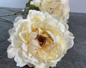 Peony, Fully Bloomed Peony, Single Flower Peony, Cream & Pink Single Stem, Fall Flower, Arrangement Floral, Fall Floral, Wreath Flowers