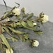 see more listings in the Supplies - Florals section