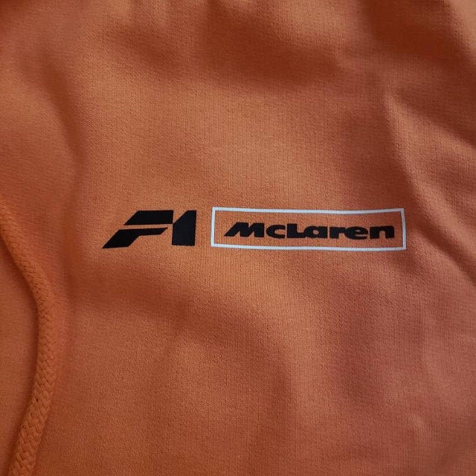 Formula 1 Sweatshirt Formula 1 Hoodie F1 Sweatshirt | Etsy