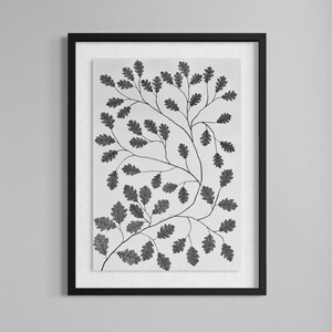 Pu&ograve; includere: Una stampa artistica da parete incorniciata con un'illustrazione botanica in bianco e nero di rami di quercia con foglie dettagliate. L'opera &egrave; racchiusa in una sottile cornice nera con passe-partout bianco, con un motivo di fogliame.