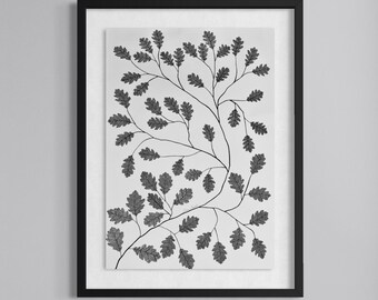 L'Universe in a Leaf, Original Drawing, Handmade, Oak Leaf Drawing, Fibonacci, Wonder of Nature