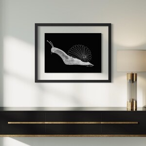 May include: A framed wall art print featuring a white line drawing of a snail on a solid black background. The snail shell is depicted with a radial, flower-like pattern of thin lines. The artwork is enclosed in a simple black frame.
