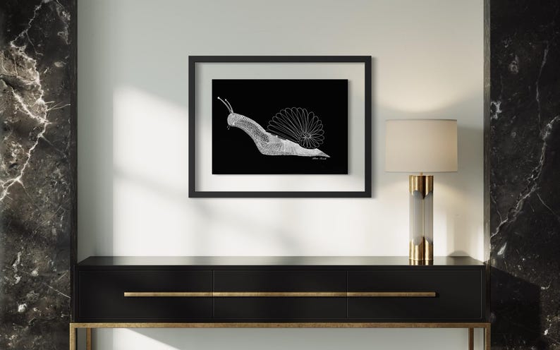 May include: A framed wall art print featuring a white line drawing of a snail on a solid black background. The snail shell is depicted with a radial, flower-like pattern of thin lines. The artwork is enclosed in a simple black frame.