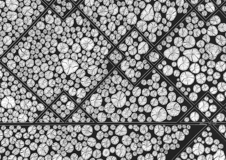 May include: A black and white graphic pattern featuring a repeating geometric grid filled with numerous circular cross-sections of tree logs. Each circle displays detailed wood grain rings, creating a dense, textured, and monochromatic visual effect.