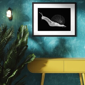 May include: A framed wall art print featuring a white line drawing of a snail on a solid black background. The snail shell is depicted with a circular, petal-like pattern, and the body is rendered with a fine, cross-hatched texture.
