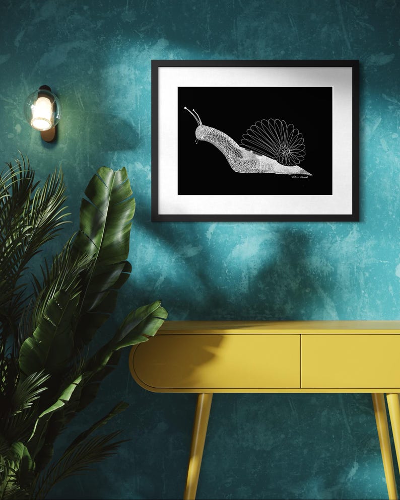 May include: A framed wall art print featuring a white line drawing of a snail on a solid black background. The snail shell is depicted with a circular, petal-like pattern, and the body is rendered with a fine, cross-hatched texture.