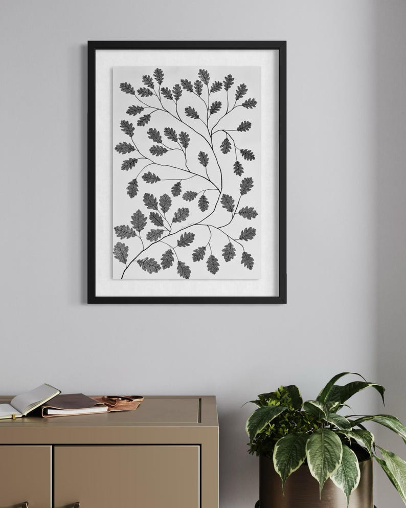 Pu&ograve; includere: Una stampa artistica da parete incorniciata con un'illustrazione botanica in bianco e nero di rami di quercia con foglie dettagliate. L'opera &egrave; racchiusa in una sottile cornice nera con passe-partout bianco, con un motivo di fogliame.
