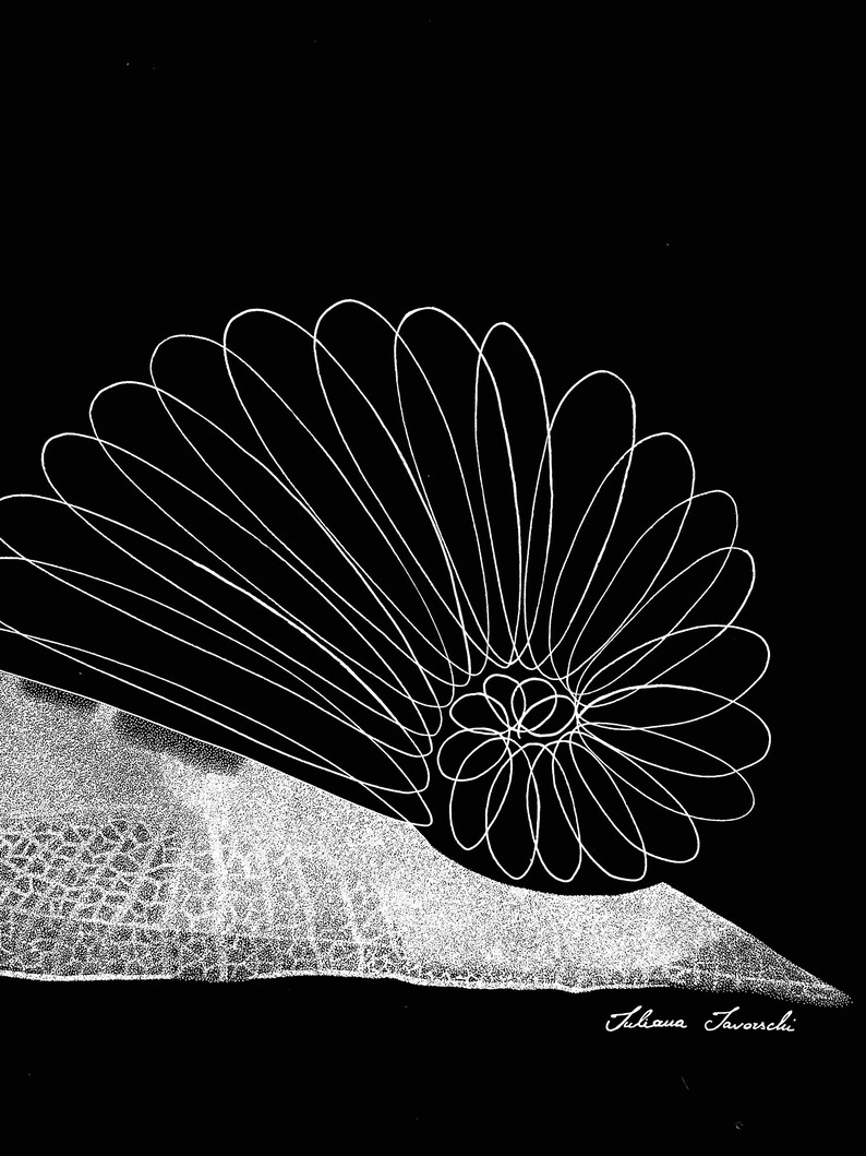 May include: A black and white digital illustration featuring a series of white, overlapping elliptical lines forming a fan-like, circular pattern. Below this, a textured, white, leaf-like shape with a vein pattern is visible. The artist name Juliana Favorschi is printed in white in the bottom right corner.