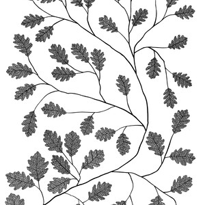 Pu&ograve; includere: Un'illustrazione grafica in bianco e nero che presenta una rete di rami sottili e curvi adornati con numerose foglie di quercia dettagliate. Ogni foglia mostra una struttura venosa visibile e complessa su uno sfondo bianco.