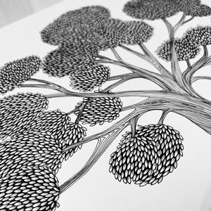 May include: A black and white ink drawing on a white background featuring a tree with intricate line work. The branches are depicted with flowing, parallel lines, while the foliage consists of dense, repeating oval shapes forming clusters.