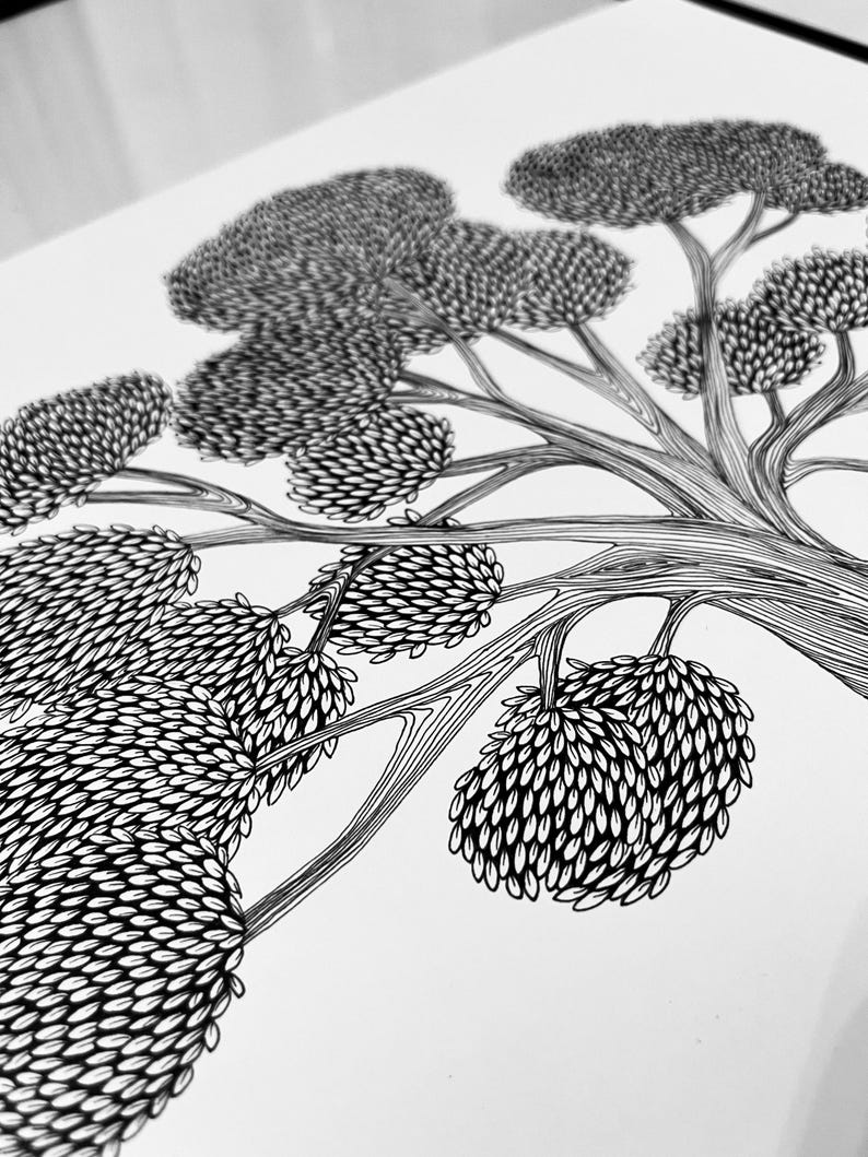 May include: A black and white ink drawing on a white background featuring a tree with intricate line work. The branches are depicted with flowing, parallel lines, while the foliage consists of dense, repeating oval shapes forming clusters.