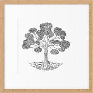 May include: A black and white ink drawing of a tree with a thick, textured trunk, sprawling roots, and multiple rounded clusters of leaves, centered within a square light wood frame against a plain white background.