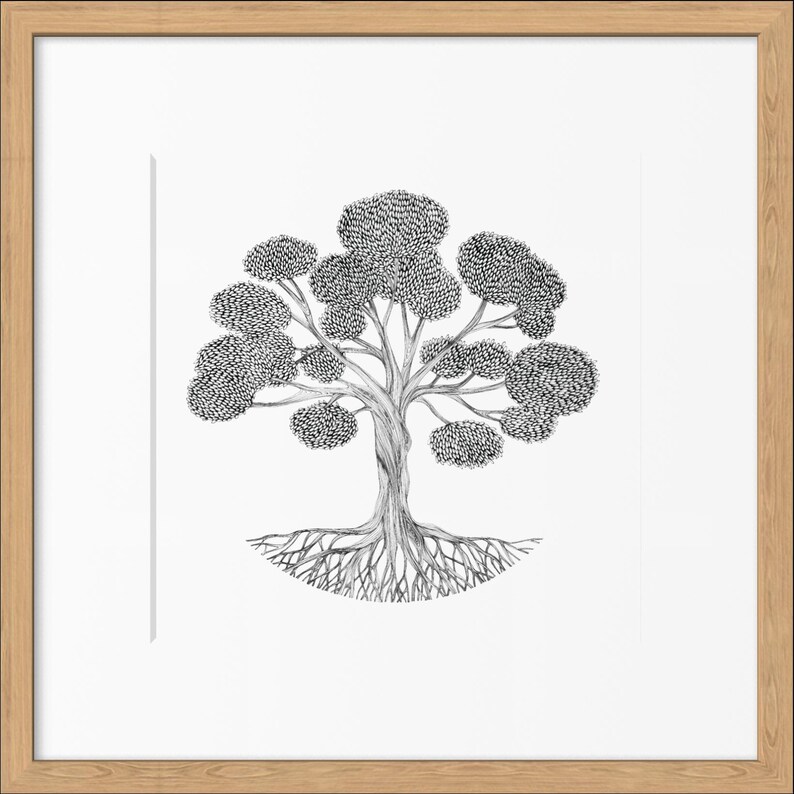 May include: A black and white ink drawing of a tree with a thick, textured trunk, sprawling roots, and multiple rounded clusters of leaves, centered within a square light wood frame against a plain white background.