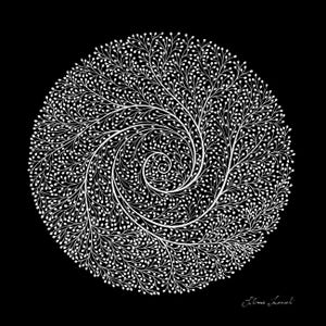 May include: A circular graphic illustration featuring a dense, white, branching fractal pattern that spirals outward from the center against a solid black background. The intricate design resembles organic coral or tree-like structures.