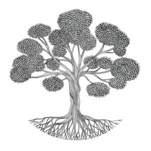 May include: A black and white line art illustration of a tree with a thick, twisted trunk and expansive, spreading roots. The canopy is composed of numerous rounded clusters of leaves, each rendered with fine, detailed strokes and textures.