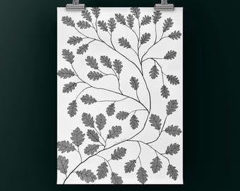 May include: Black and white art print featuring a detailed illustration of oak tree branches and leaves. The artwork is displayed on a white background and held by silver clips, creating a minimalist aesthetic.