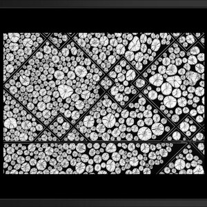 May include: A black and white framed print featuring a geometric pattern composed of numerous circular cross-sections of wood logs. The circular shapes are arranged within a series of intersecting diamond and triangular outlines, creating a structured, repeating visual composition.