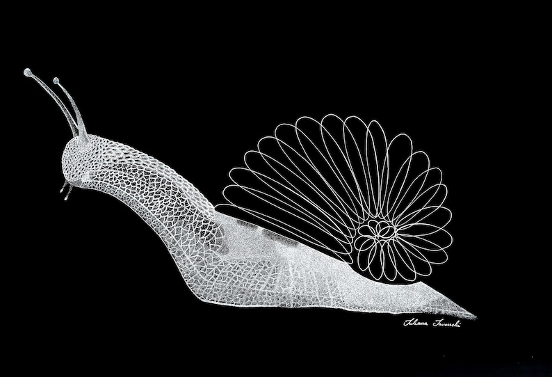 May include: A white line art illustration of a snail against a solid black background. The snail body features a detailed cross-hatched texture, while the shell is composed of repeating, overlapping white petal-like loops. Signed Juliana Tamechi.