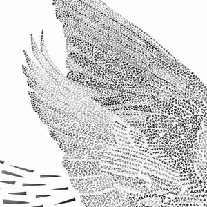 K&ouml;nnte beinhalten: Eine schwarz-wei&szlig;e grafische Illustration eines gro&szlig;en Vogelfl&uuml;gels, der aus hunderten winzigen einzelnen Vogelsilhouetten besteht. Der Fl&uuml;gel ist nach oben gerichtet, mit einer Reihe kleiner, dunkler, horizontaler Keilformen links vom Fl&uuml;gel.