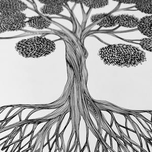 May include: A black and white ink drawing of a tree with a thick, twisted trunk and expansive, visible root system. The canopy consists of multiple rounded clusters of leaves rendered with fine, repetitive line work and cross-hatching details.