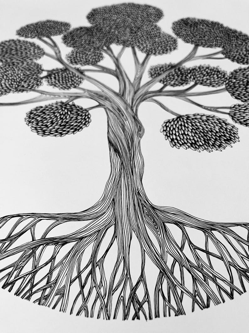 May include: A black and white ink drawing of a tree with a thick, twisted trunk and expansive, visible root system. The canopy consists of multiple rounded clusters of leaves rendered with fine, repetitive line work and cross-hatching details.