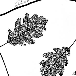 Pu&ograve; includere: Un'illustrazione a tratto in bianco e nero che presenta foglie di quercia dettagliate con intricati motivi venati. Il disegno include rami sottili che collegano le foglie e la firma manoscritta Juliana Javorski in inchiostro nero su sfondo bianco.